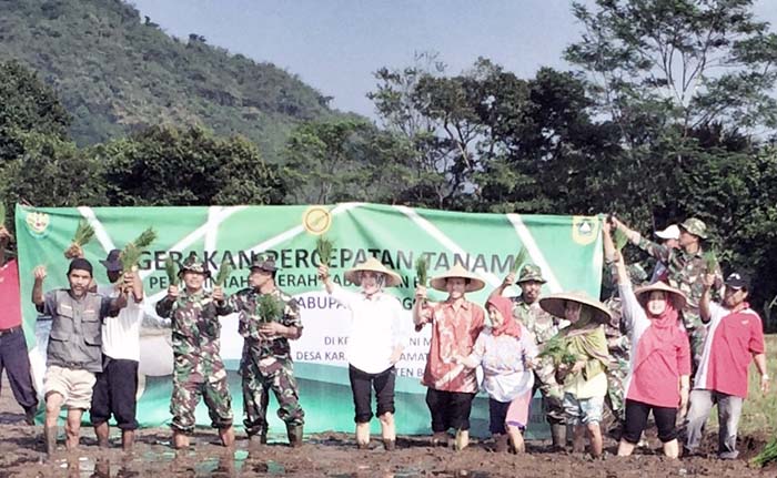 Tim Upsus Swasembada Jabar Siapkan Dem Area Benih untuk Petani Bogor